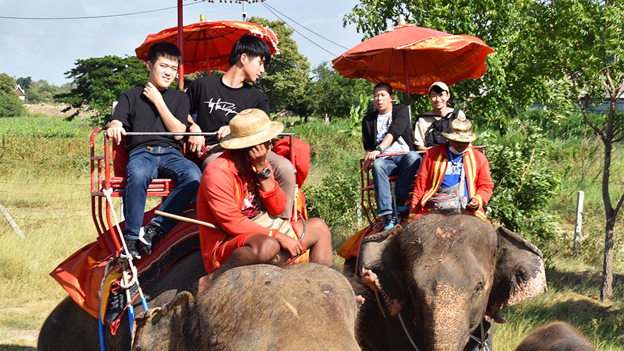 海外研修（タイ）